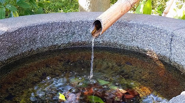 Wasserkur lässt die Pfunde purzeln Wasserkur lässt die Pfunde purzeln
