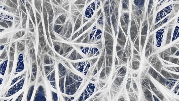 Grüne Pflanze für graue Zellen