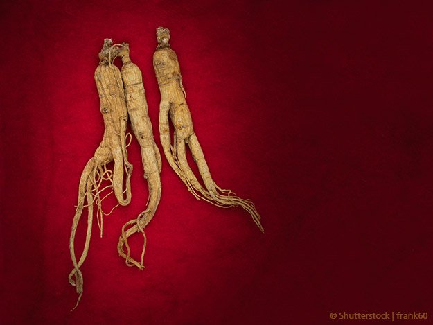 Carstens-Stiftung: Roter Ginseng stärkt das Immunsystem Carstens-Stiftung: Roter Ginseng stärkt das Immunsystem
