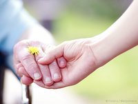 Carstens-Stiftung: Die Rolle der Komplementärmedizin in der Palliativmedizin.