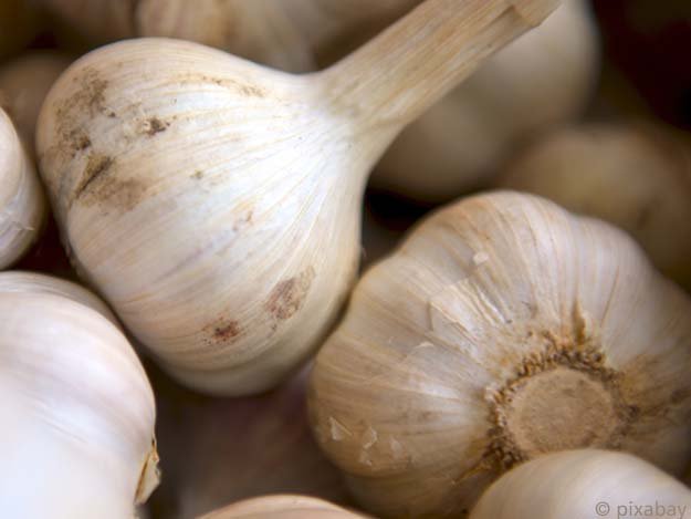 Carstens-Stiftung: Hilft Knoblauch bei Scheidenpilz?