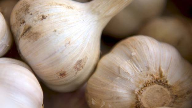 Carstens-Stiftung: Hilft Knoblauch bei Scheidenpilz?
