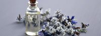 Wirksamkeit von Nachtkerzen- und Borretschöl bei Neurodemitis