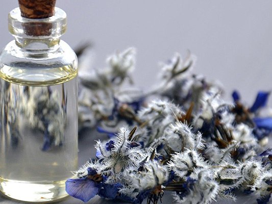 Wirksamkeit von Nachtkerzen- und Borretschöl bei Neurodemitis