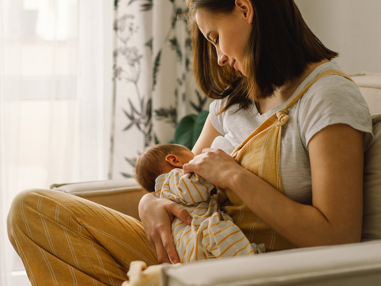 Stillen: Kurbelt Shatavari die Muttermilchproduktion an? Stillen: Kurbelt Shatavari die Muttermilchproduktion an?