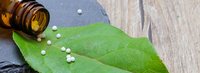 Carstens-Stiftung: Homöopathische Arzneimittelprüfungen