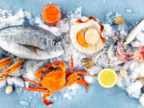 Omega-3-Fettsäuren zur Unterstützung der Niere