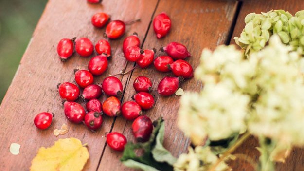 Carstens-Stiftung: Hagebutte bei Rheuma Carstens-Stiftung: Hagebutte bei Rheuma
