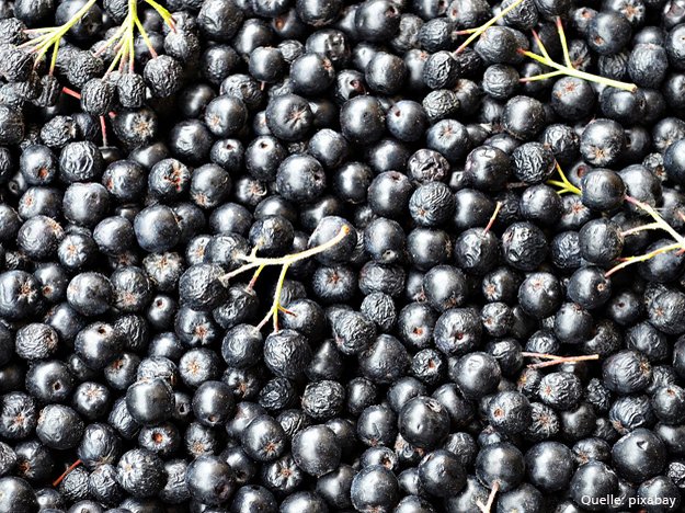 Carstens-Stiftung: Aronia-Saft bei Cellulite.