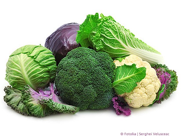 Carstens-Stiftung: Strahlenschutz durch Broccoli und Co. Carstens-Stiftung: Strahlenschutz durch Broccoli und Co.