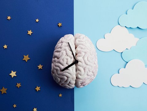 Fasten, Hormonhaushalt und Innere Uhr