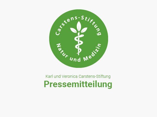 Pressemitteilung der Karl und Veronica Carstens-Stiftung