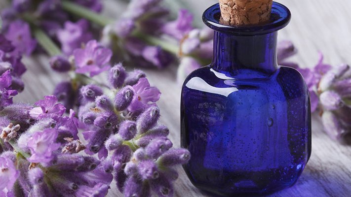 Carstens-Stiftung: Dufttherapie hilft auch bewusstlosen Palliativpatienten