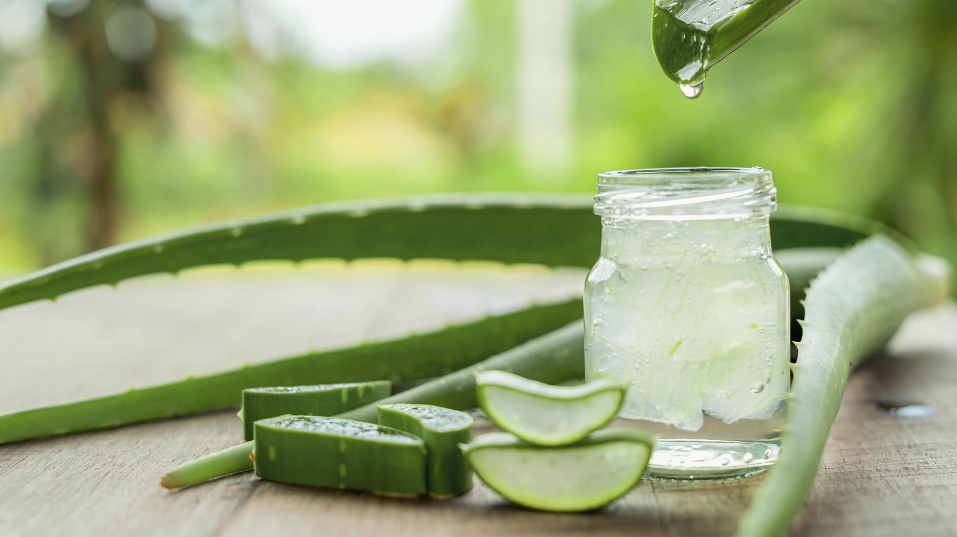 mein aloe vera konzept Bio-Aloe Vera Pflegegel für Kinder | Beruhigende Feuchtigkeitspflege main image 1