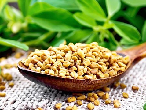 Bockshornklee gegen den Schmerz