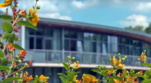 Klinik für Naturheilkunde und Integrative Medizin