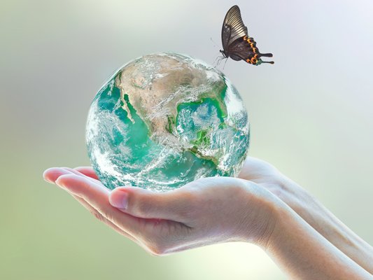 One Health als Konzept der Zukunft