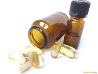 Carstens-Stiftung: Tägliche Calciumeinnahme zur Osteoporoseprophylaxe