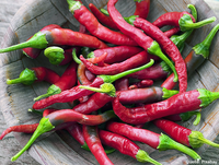 Langlebigkeit durch scharfe Gewürze