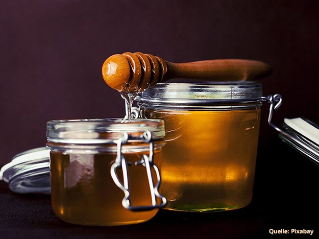 Carstens-Stiftung: Honig wirkt gegen resistente Bakterien