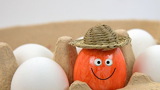 Carstens-Stiftung: Eier wirken sich schlecht auf das Herz aus.