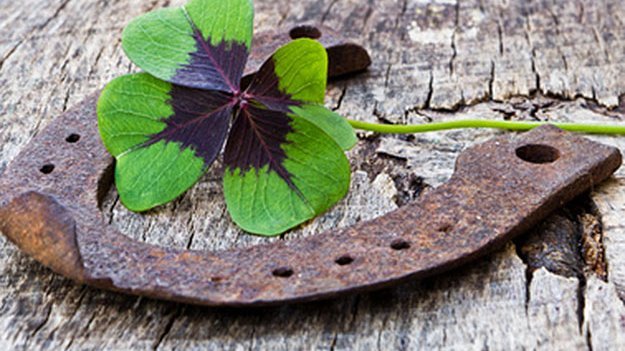 Hufeisen mit vierblättrigem Kleeblatt auf grauem Tisch