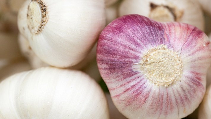 Knoblauch positiv für Magen-Darm Knoblauch positiv für Magen-Darm