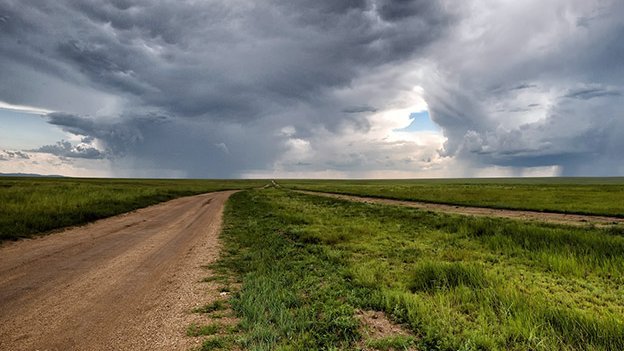 Pflanzen helfen bei Angst Carstens-Stiftung: Pflanzen helfen bei Angst
