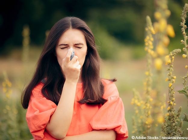 Naturstoffe gegen Asthma