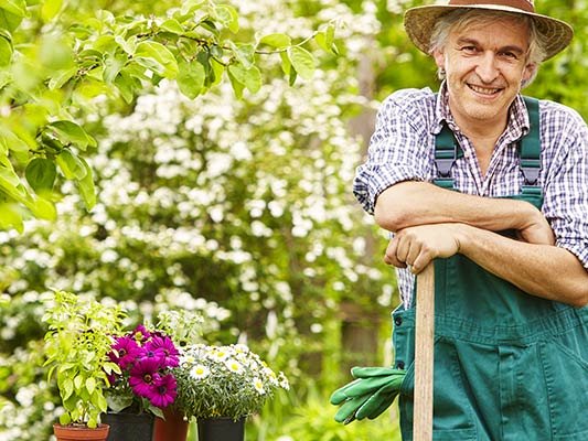Carstens-Stiftung: Gartentherapie lässt Demenzpatienten aufblühen Carstens-Stiftung: Gartentherapie lässt Demenzpatienten aufblühen
