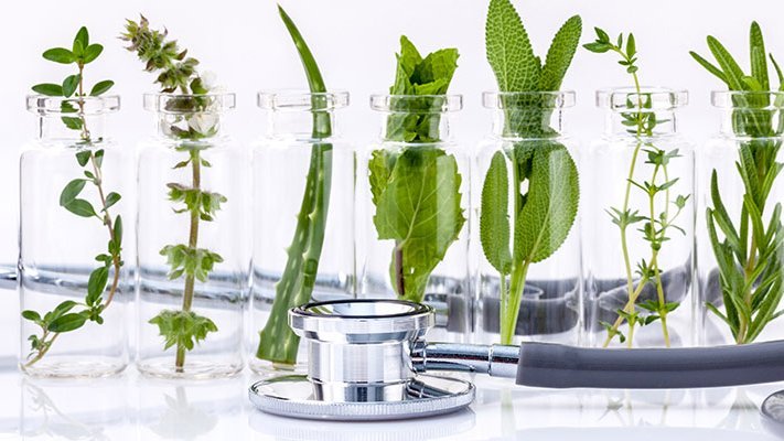 Carstens-Stiftung: Antibiotika aus Pflanzen können eine sinnvolle Alternative zu herkömmlichen antibakteriellen Mitteln sein