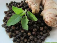 Carstens-Stiftung: Ist falscher Pfeffer gut bei Diabetes?