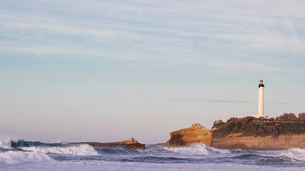 Carstens-Stiftung: Leitfaden zur integrativen Onkologie