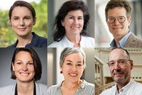 Waldbaden in der Natur und virtuell: Innovative Ansätze bei Fatigue und Depressionen