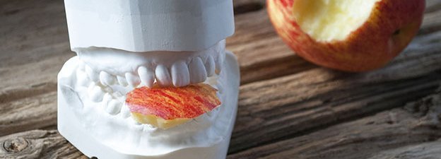 Carstens-Stiftung: Natürliche Alternativen zum Erhalt der Zahn(fleisch)gesundheit