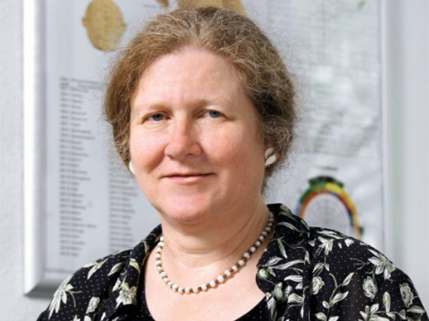 Carstens-Stiftung:Interview mit Frau Professorin Karin Kraft