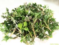 Wermut macht Mut und Hoffnung