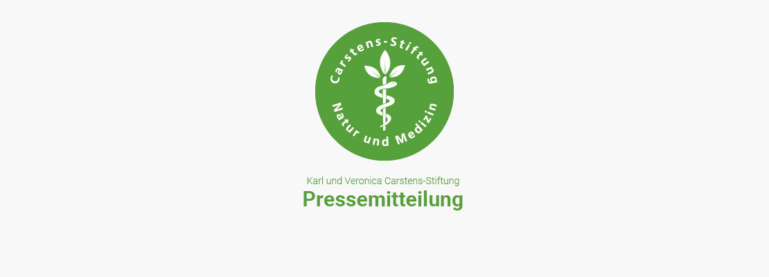 Pressemitteilung der Karl und Veronica Carstens-Stiftung