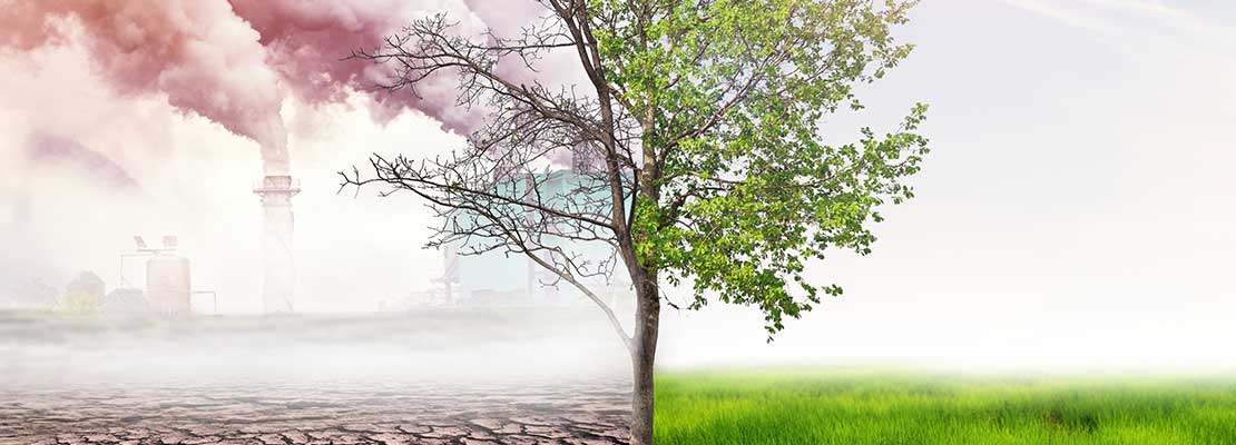 Luftverschmutzung als globale Gesundheitsgefahr