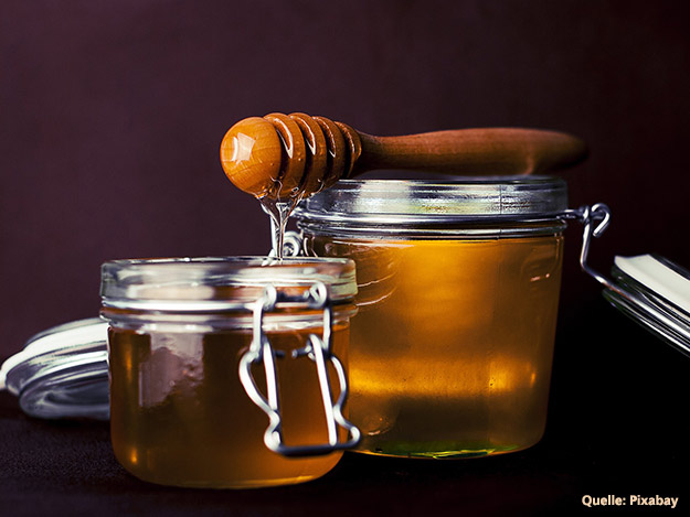 Carstens-Stiftung: Honig wirkt gegen resistente Bakterien
