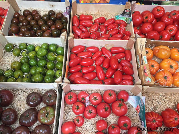 Carstens-Stiftung: Rot und stark – was Lycopin mit Tomaten und Knochen macht
