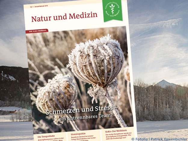 Carstens-Stiftung: Schmerz und Stress – ein untrennbares Team?