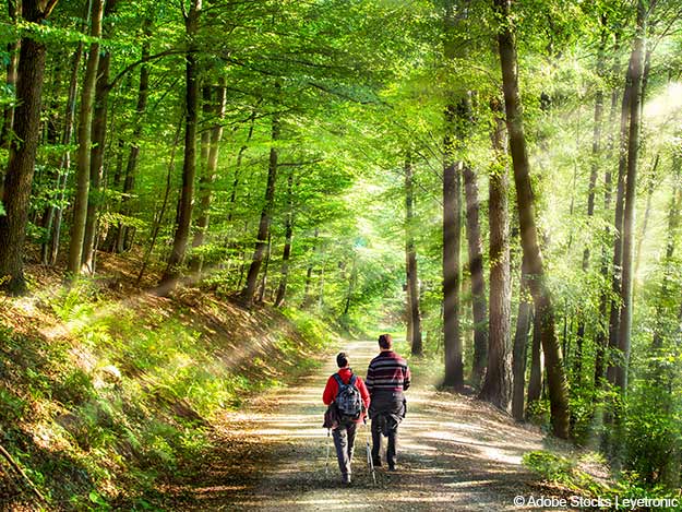 Waldbaden: Prävention und Therapie
