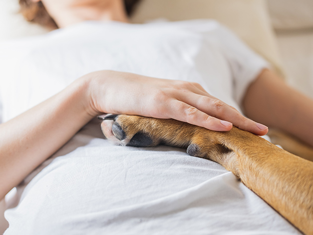 Carstens-Stiftung: Tiergestützte Interventionen in Gesundheitseinrichtungen